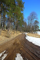 Image showing Dirtroad with melting snow