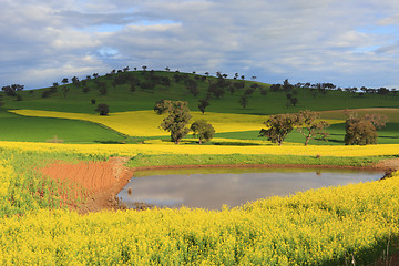 Image showing Scenic farmlands landscape