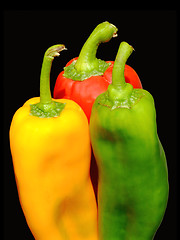 Image showing Colored peppers