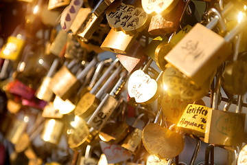 Image showing Locks of love