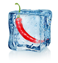 Image showing Chili pepper in ice cube