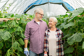 Image showing happy senior couple at farm greenhouse