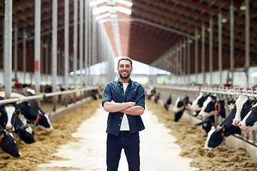 Image showing man or farmer with cows in cowshed on dairy farm