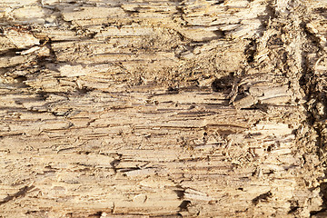 Image showing old split wood