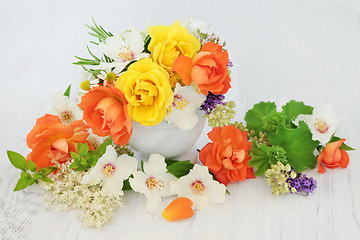 Image showing Flowers for Natural Herbal Medicine