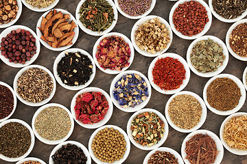 Image showing Healthy Herb Teas