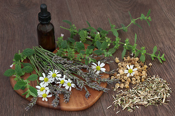 Image showing Calming Herb Selection