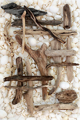 Image showing Driftwood and Seashell Abstract 