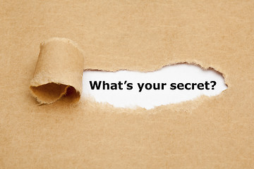 Image showing What Is Your Secret Torn Paper Concept