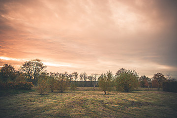 Image showing Rural landscape with trees on a lawn