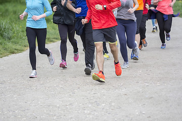 Image showing Fitness sport Group of people running jogging outside on road