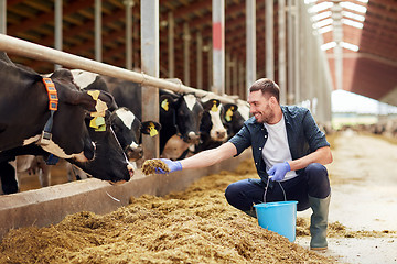 Image showing man feeding cows with hay in cowshed on dairy farm