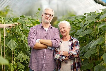 Image showing happy senior couple at farm greenhouse