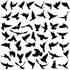 Image showing Concept of love or peace. Set silhouettes doves. illustration