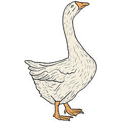 Image showing Sketch grey goose on a white background. illustration.