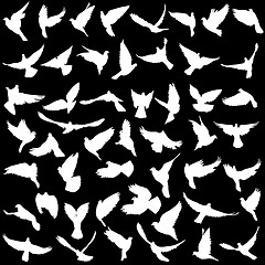 Image showing Concept of love or peace. Set silhouettes doves. illustration