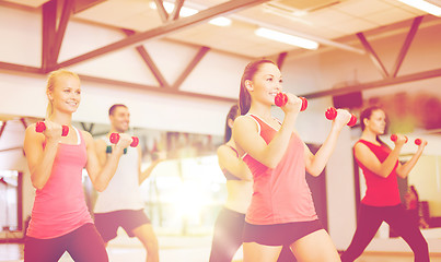 Image showing group of smiling people working out with dumbbells