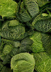 Image showing close up of savoy cabbages