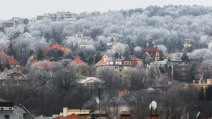 Image showing Witer at the suburbs