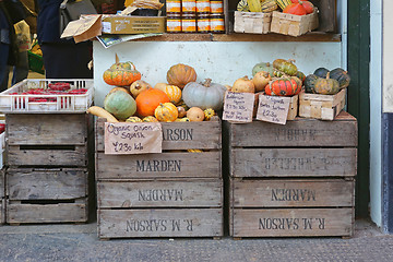 Image showing Squash and Pumpkins