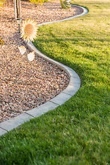 Image showing Beautiful Concrete Coping Along Lush Green Grass in Yard.