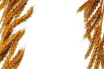 Image showing Wheat frame