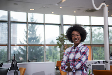 Image showing Portrait of a young black  casual business woman