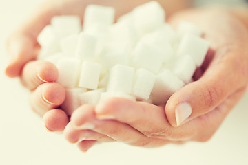 Image showing close up of white lump sugar in woman hands