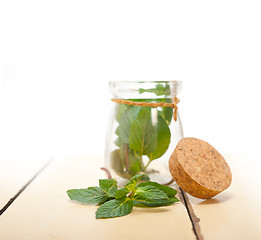 Image showing fresh mint leaves on a glass jar