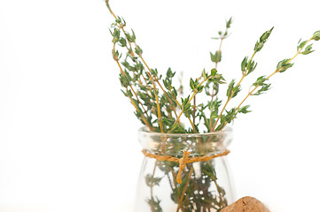 Image showing fresh thyme on a glass jar