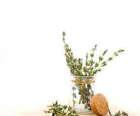 Image showing fresh thyme on a glass jar