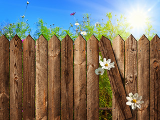 Image showing wooden fence