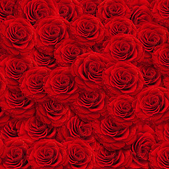 Image showing roses backgroud