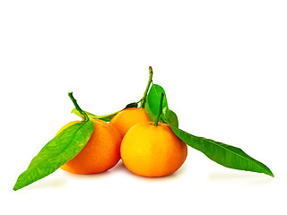 Image showing mandarins