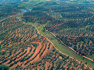 Image showing Aerial View Green Fields with Trees