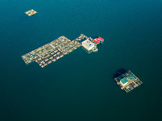 Image showing Aerial View of Farm on Cultivation of Seashells