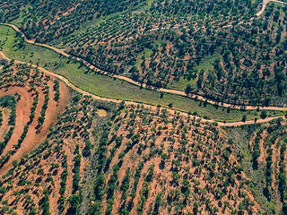 Image showing Aerial View Green Fields with Trees