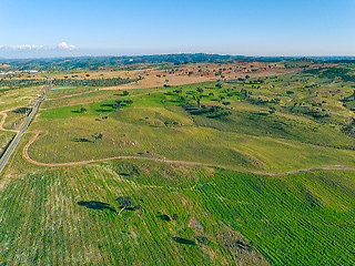 Image showing Aerial View Green Fields with Trees