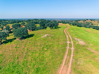 Image showing Aerial View Green Fields with Trees