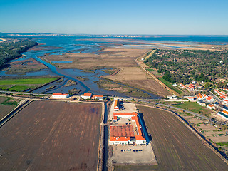 Image showing Aerial View Rice Fields