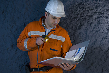 Image showing Engineer checking the plan