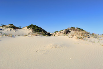 Image showing Sand dunes