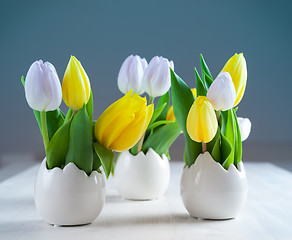 Image showing Easter tulips in fresh colors