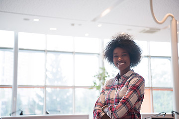 Image showing Portrait of a young black  casual business woman