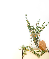 Image showing fresh thyme on a glass jar