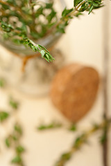 Image showing fresh thyme on a glass jar