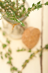 Image showing fresh thyme on a glass jar