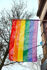 Image showing Gay rainbow flag