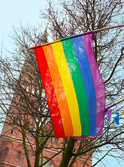 Image showing Gay rainbow flag