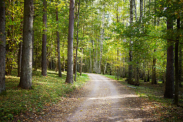 Image showing pathway in a forest